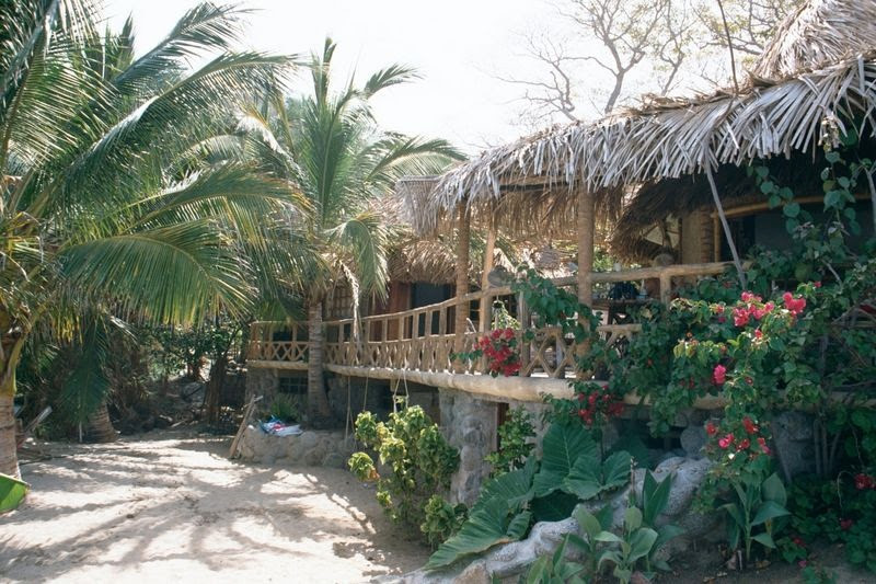 Teresa’s jungle home by the sea